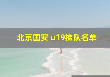 北京国安 u19梯队名单